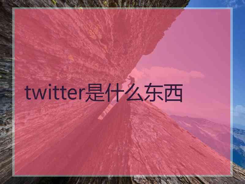 twitter是什么东西