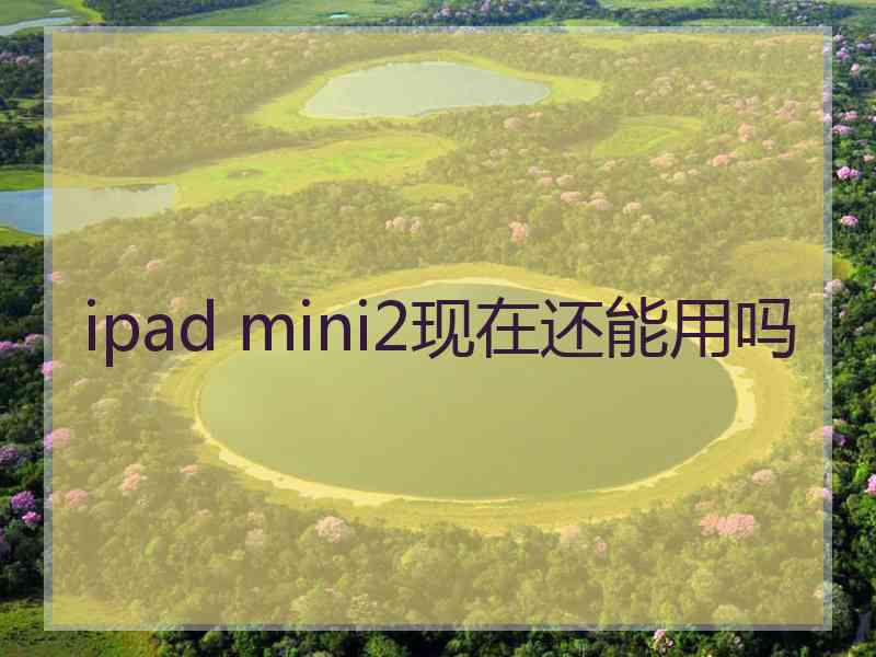 ipad mini2现在还能用吗