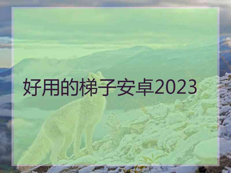 好用的梯子安卓2023