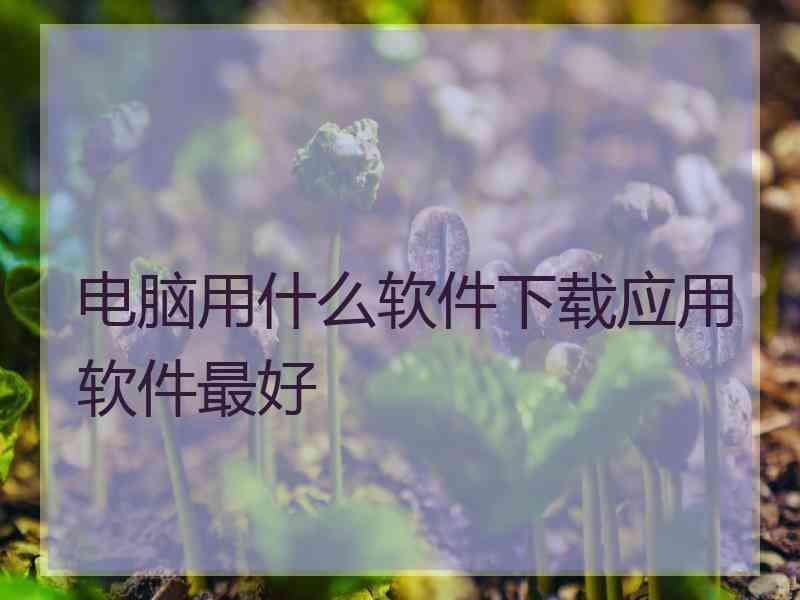 电脑用什么软件下载应用软件最好