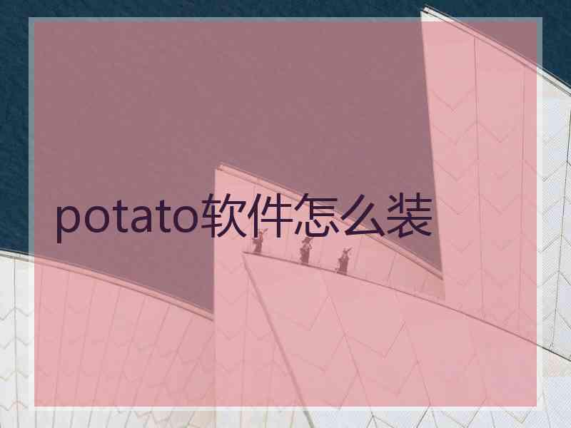 potato软件怎么装