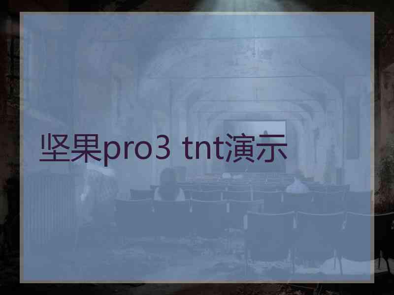 坚果pro3 tnt演示