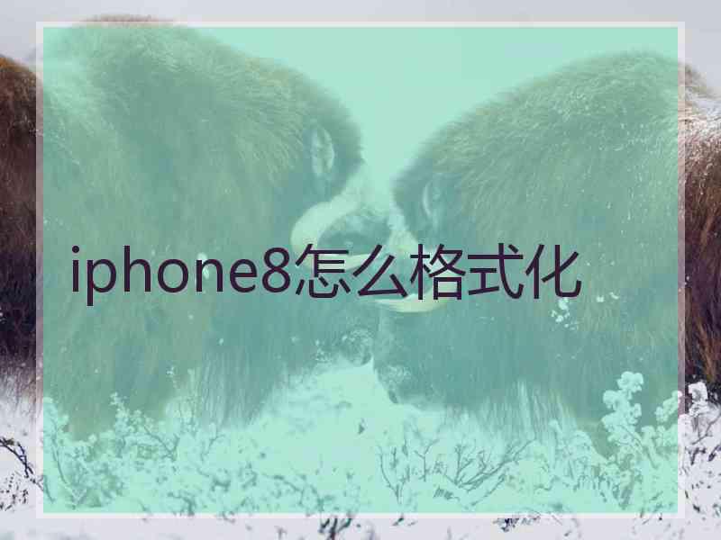 iphone8怎么格式化