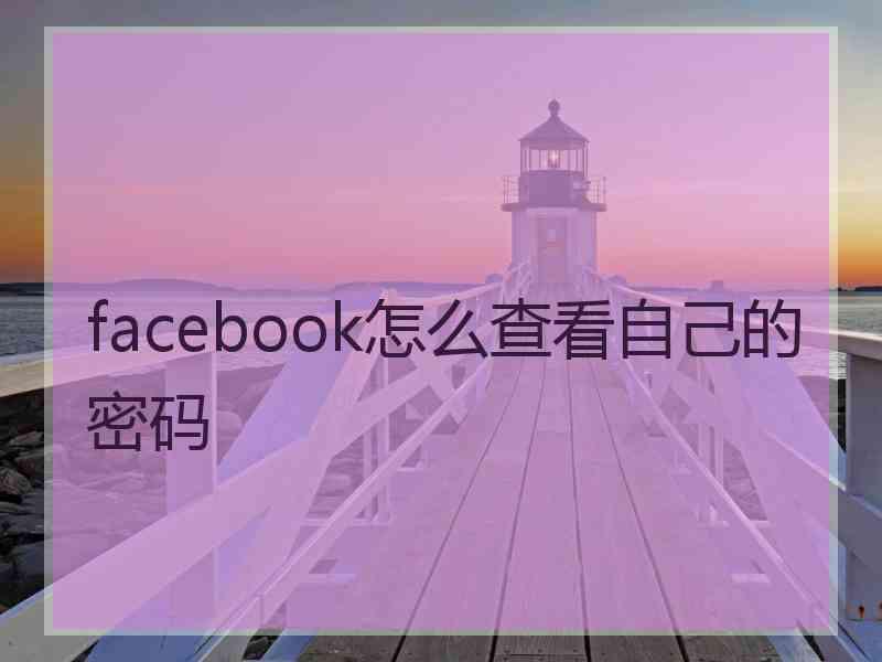 facebook怎么查看自己的密码