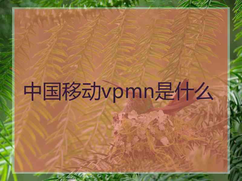 中国移动vpmn是什么