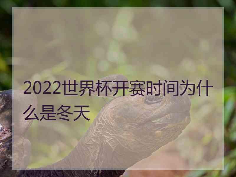 2022世界杯开赛时间为什么是冬天