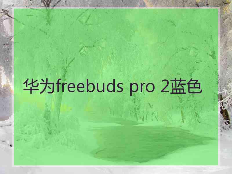 华为freebuds pro 2蓝色