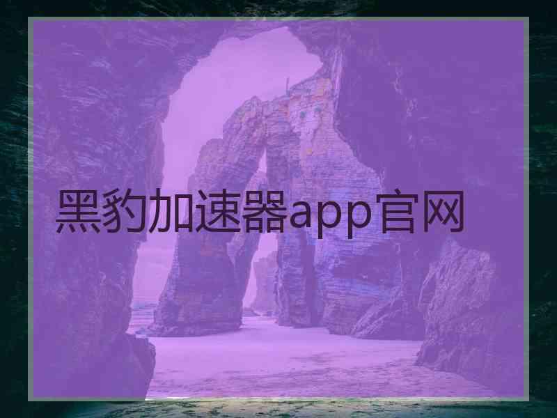 黑豹加速器app官网