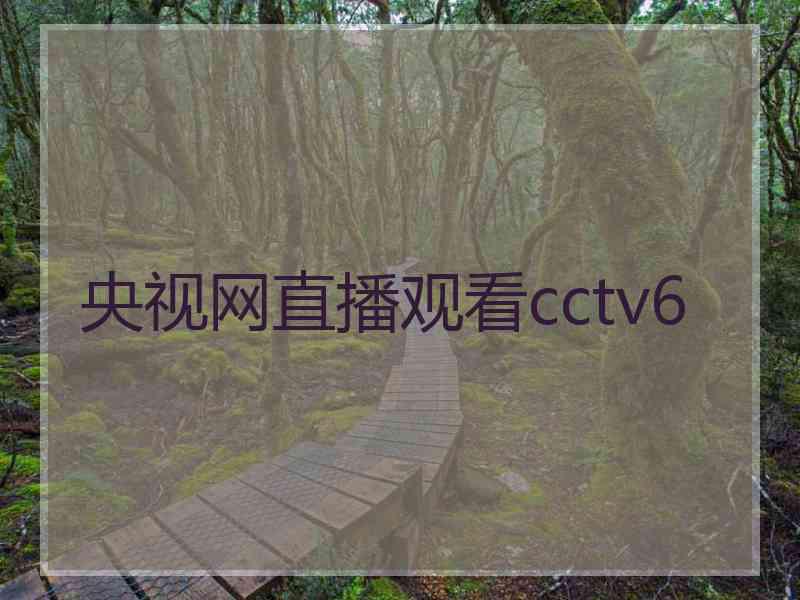 央视网直播观看cctv6