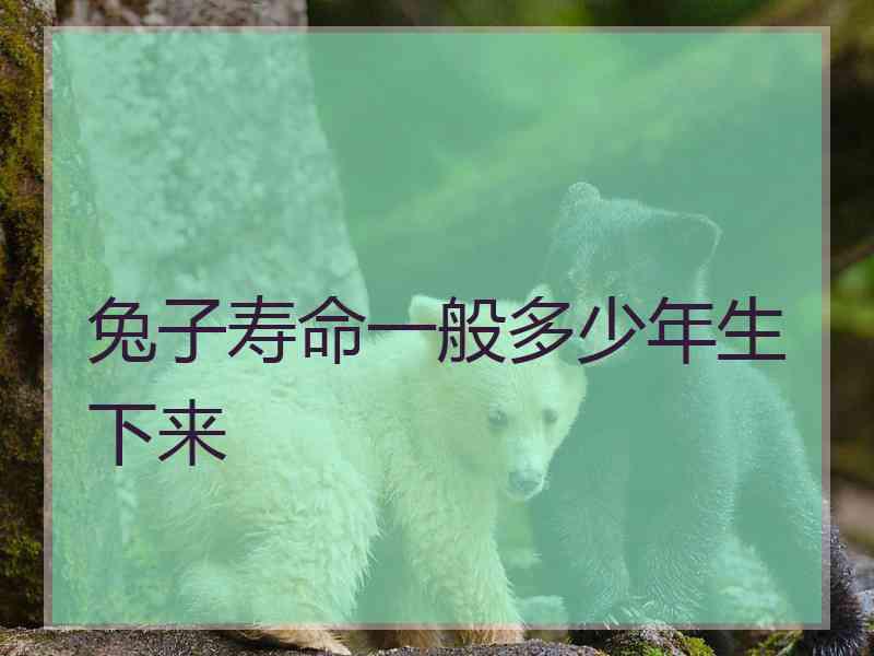 兔子寿命一般多少年生下来