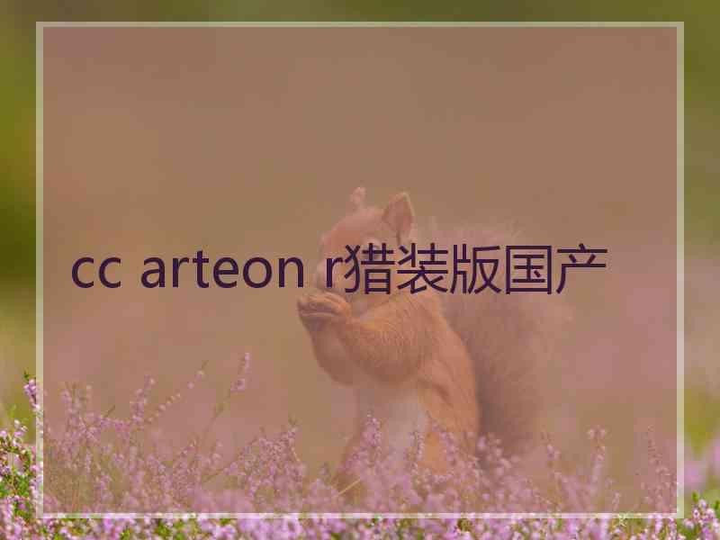 cc arteon r猎装版国产