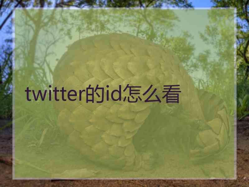 twitter的id怎么看