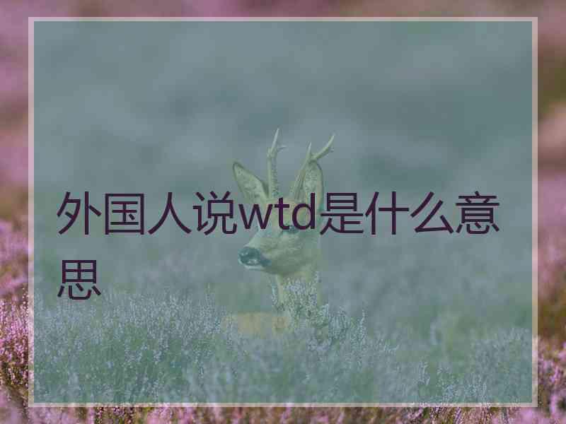 外国人说wtd是什么意思