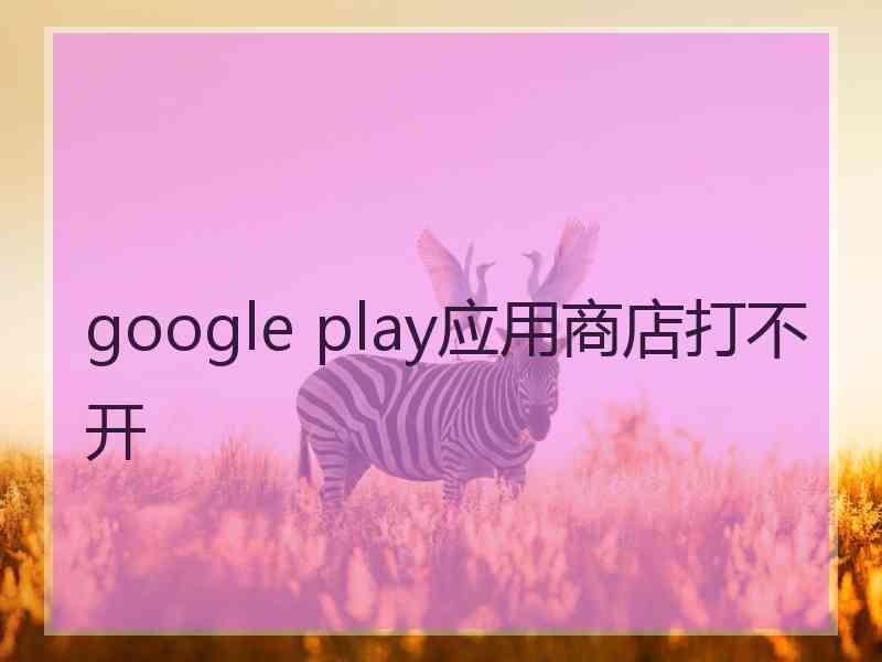 google play应用商店打不开