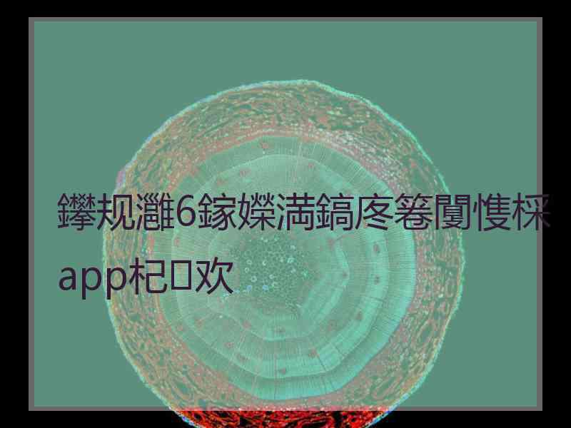 鑻规灉6鎵嬫満鎬庝箞闅愯棌app杞欢