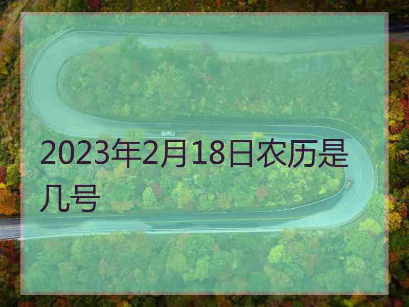 2023年2月18日农历是几号