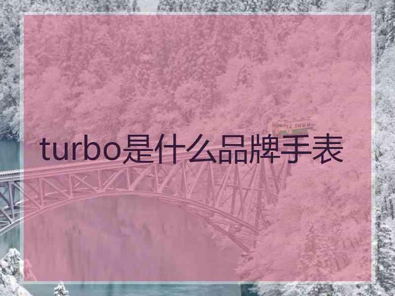 turbo是什么品牌手表