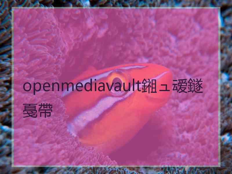 openmediavault鎺ュ叆鐩戞帶