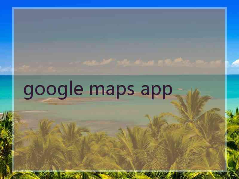 google maps app