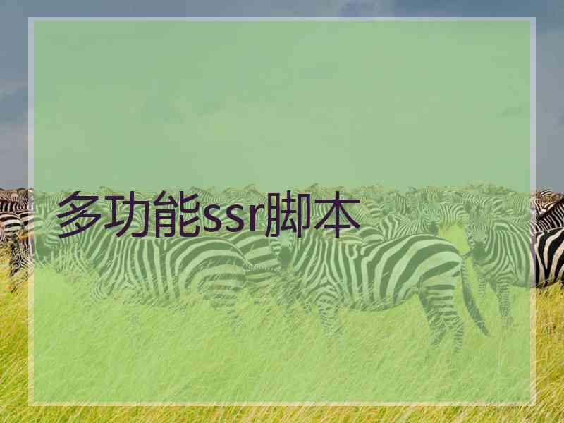 多功能ssr脚本