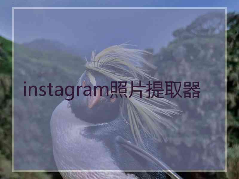 instagram照片提取器