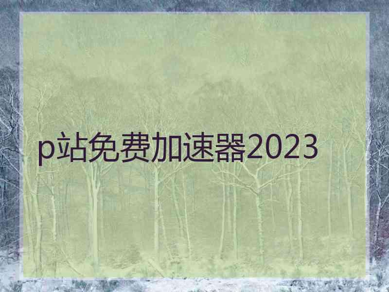 p站免费加速器2023