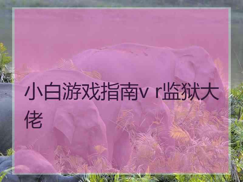 小白游戏指南v r监狱大佬