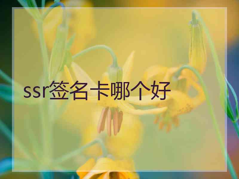 ssr签名卡哪个好