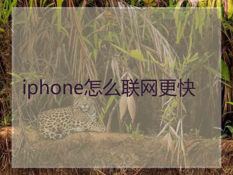 iphone怎么联网更快