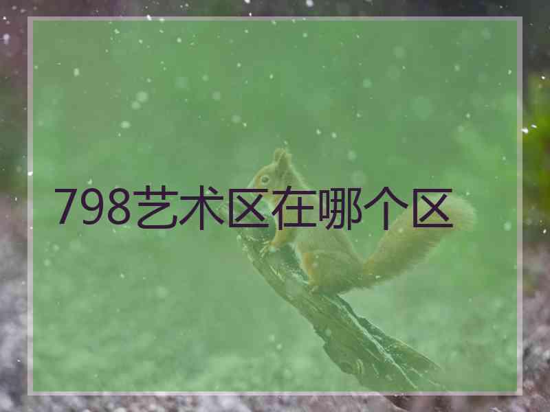 798艺术区在哪个区