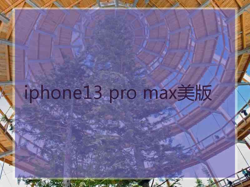 iphone13 pro max美版