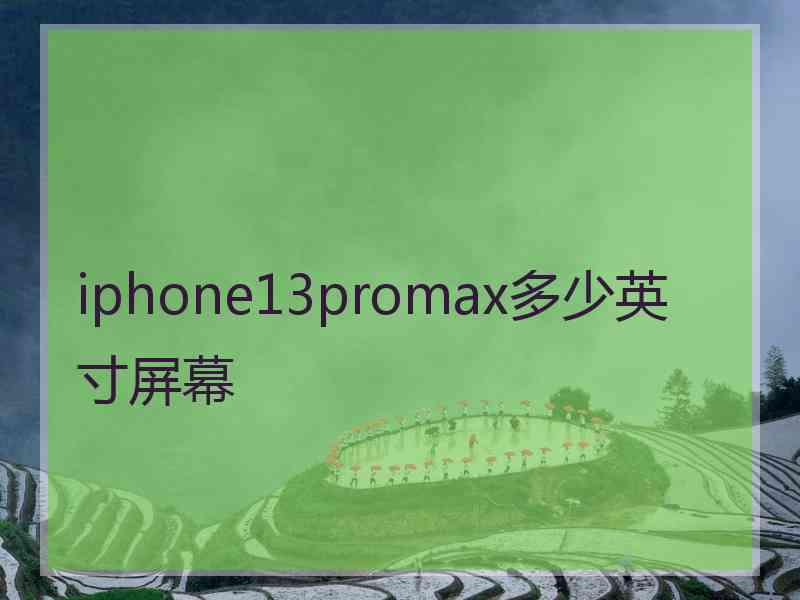 iphone13promax多少英寸屏幕