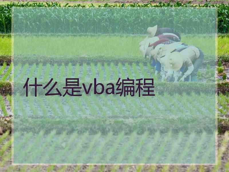 什么是vba编程