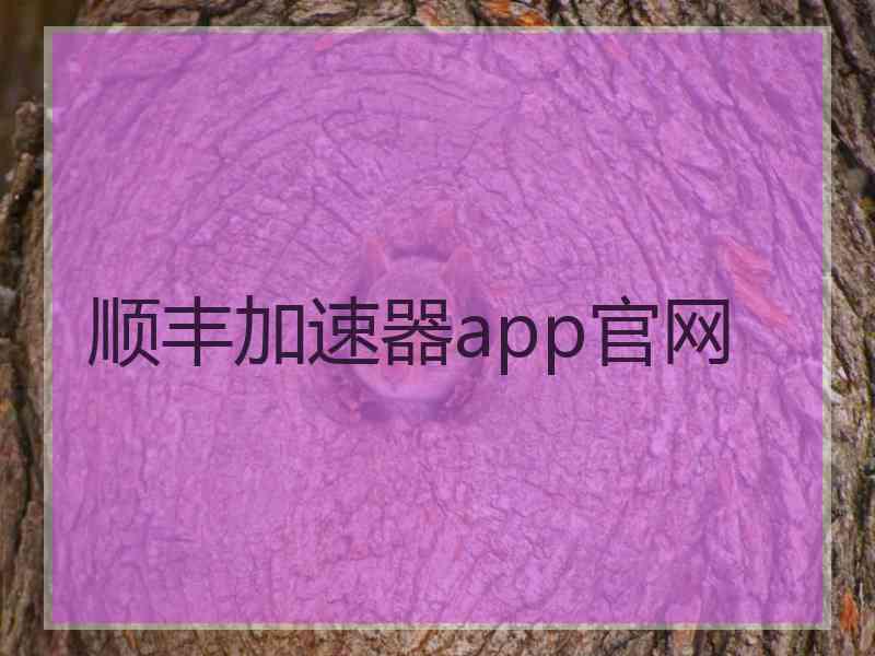 顺丰加速器app官网