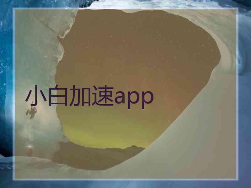 小白加速app