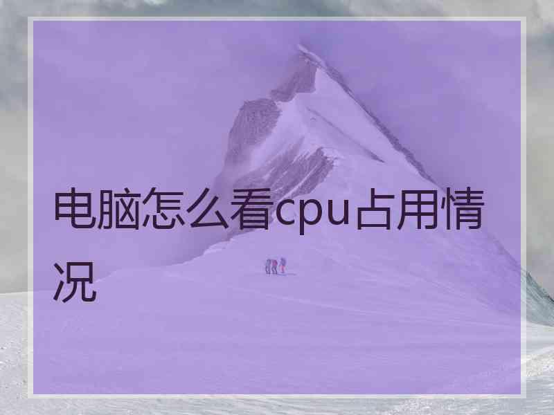 电脑怎么看cpu占用情况