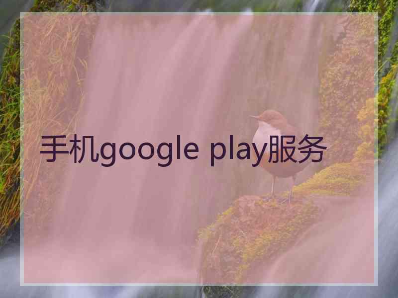 手机google play服务