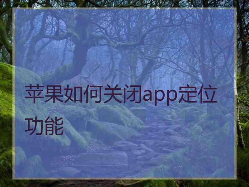 苹果如何关闭app定位功能