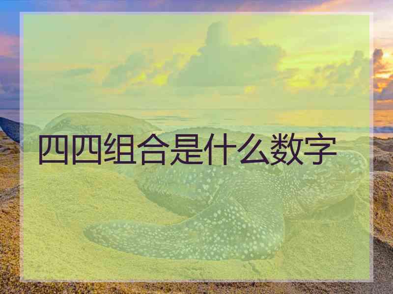 四四组合是什么数字