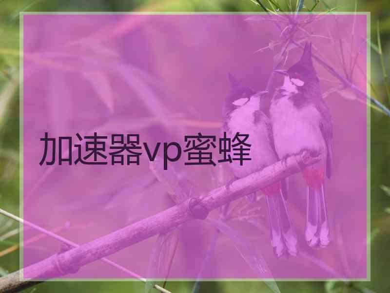 加速器vp蜜蜂