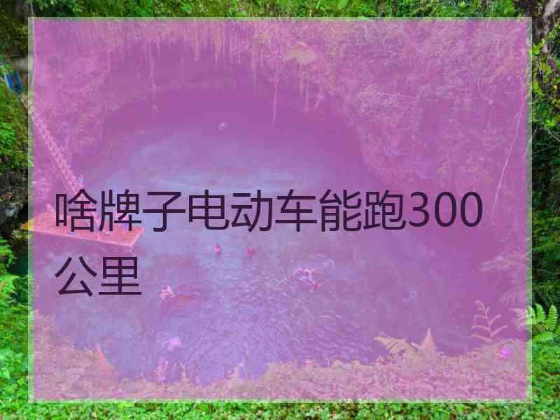 啥牌子电动车能跑300公里