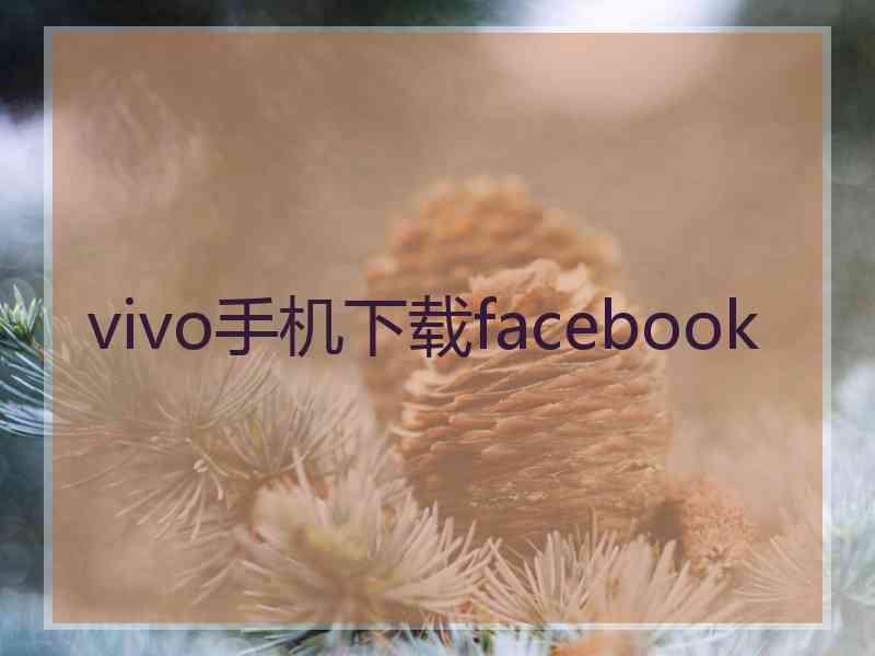 vivo手机下载facebook