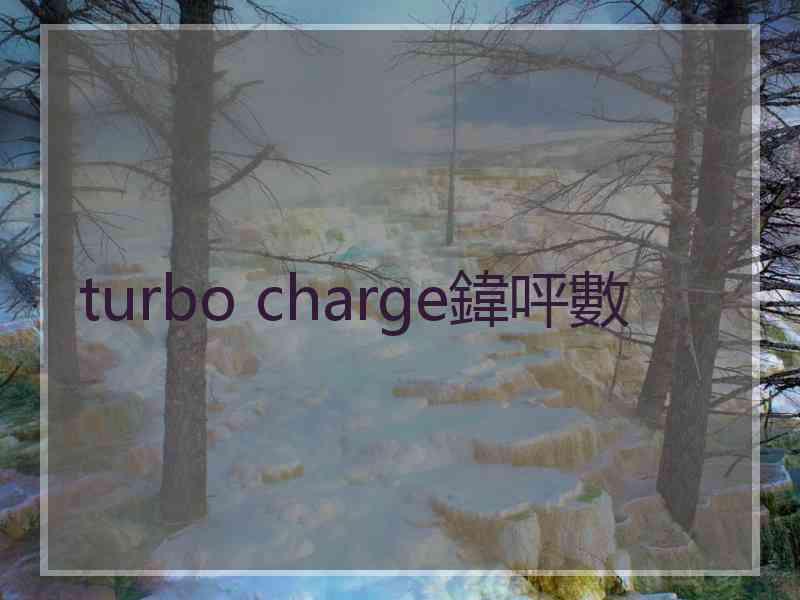 turbo charge鍏呯數