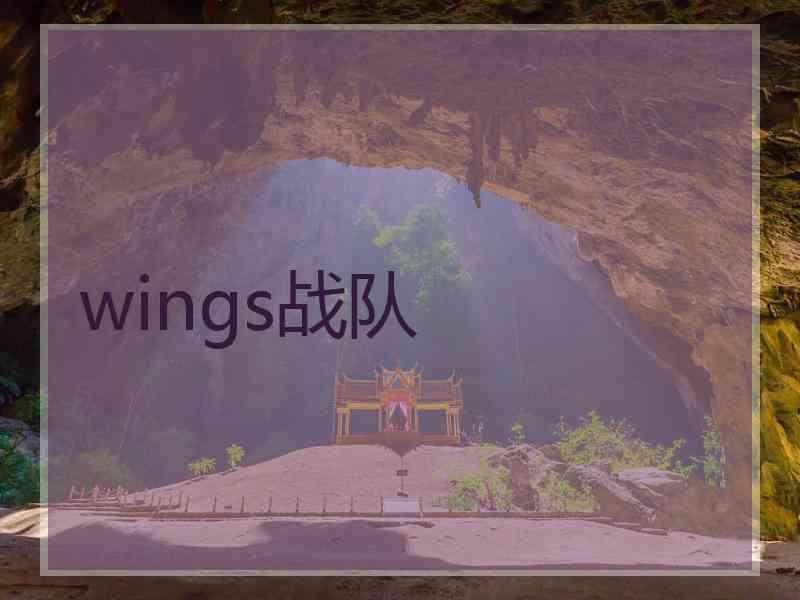 wings战队