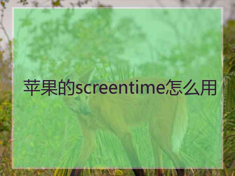 苹果的screentime怎么用