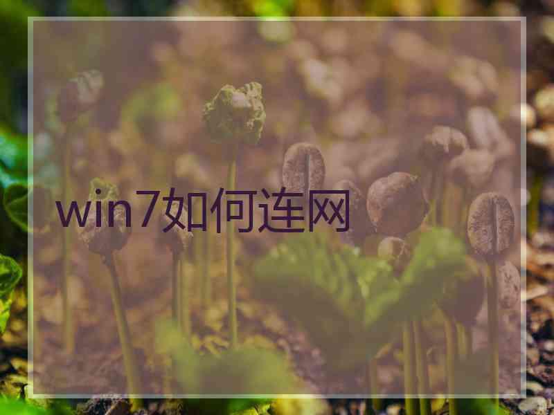 win7如何连网