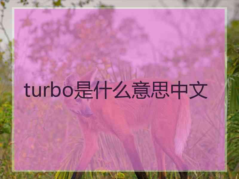 turbo是什么意思中文