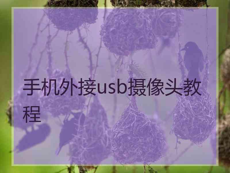 手机外接usb摄像头教程