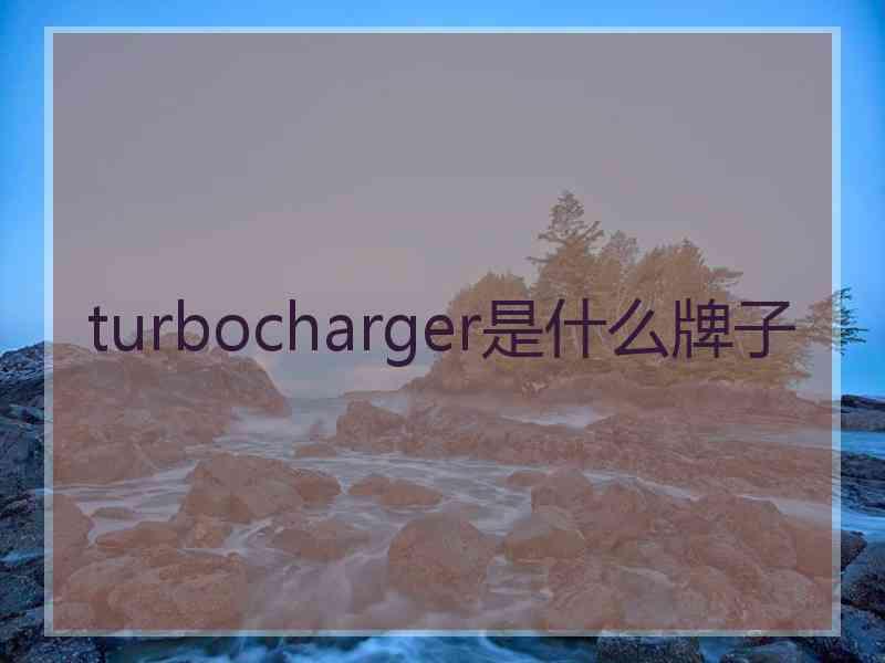 turbocharger是什么牌子