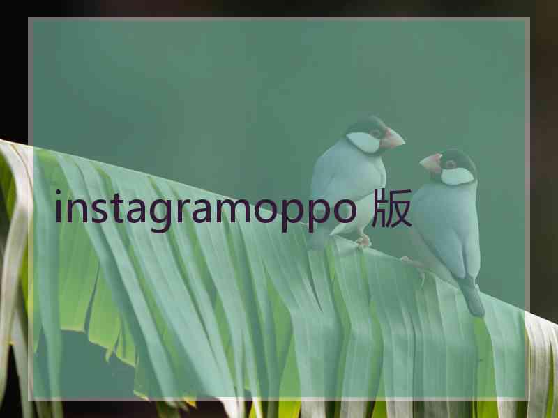 instagramoppo 版